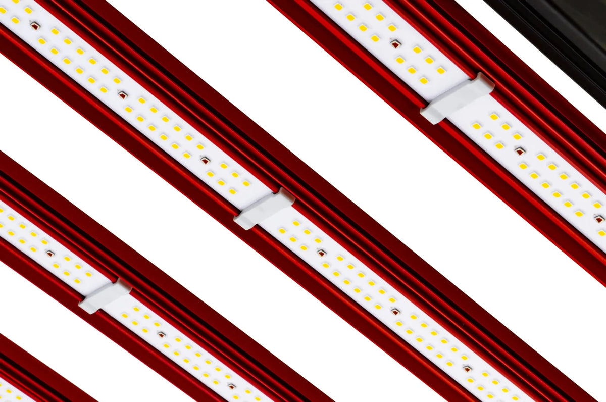 CO2 Pro LED 1000W Z60345